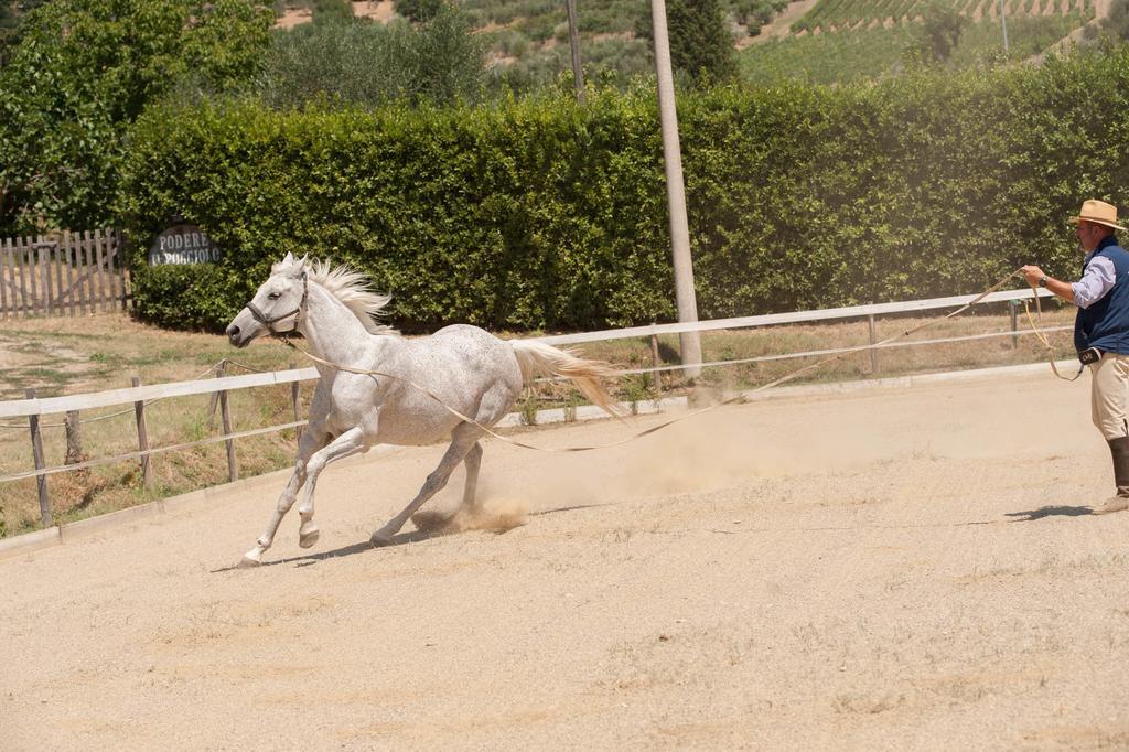 Podere Il Poggiolo Pontassieve Dış mekan fotoğraf