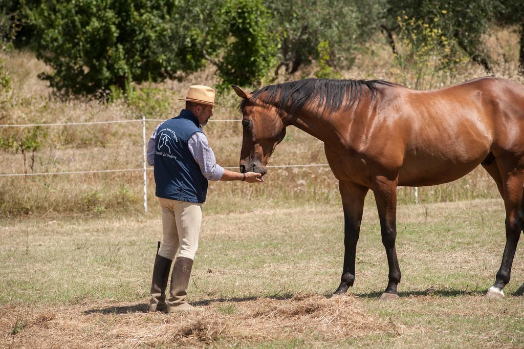Podere Il Poggiolo Pontassieve Dış mekan fotoğraf