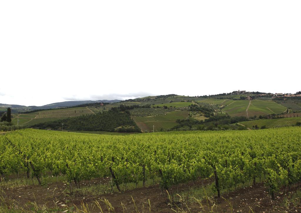 Podere Il Poggiolo Pontassieve Dış mekan fotoğraf