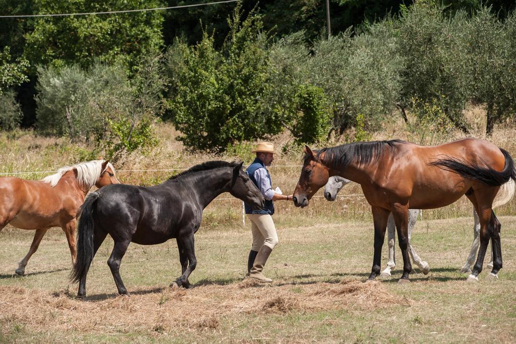 Podere Il Poggiolo Pontassieve Dış mekan fotoğraf